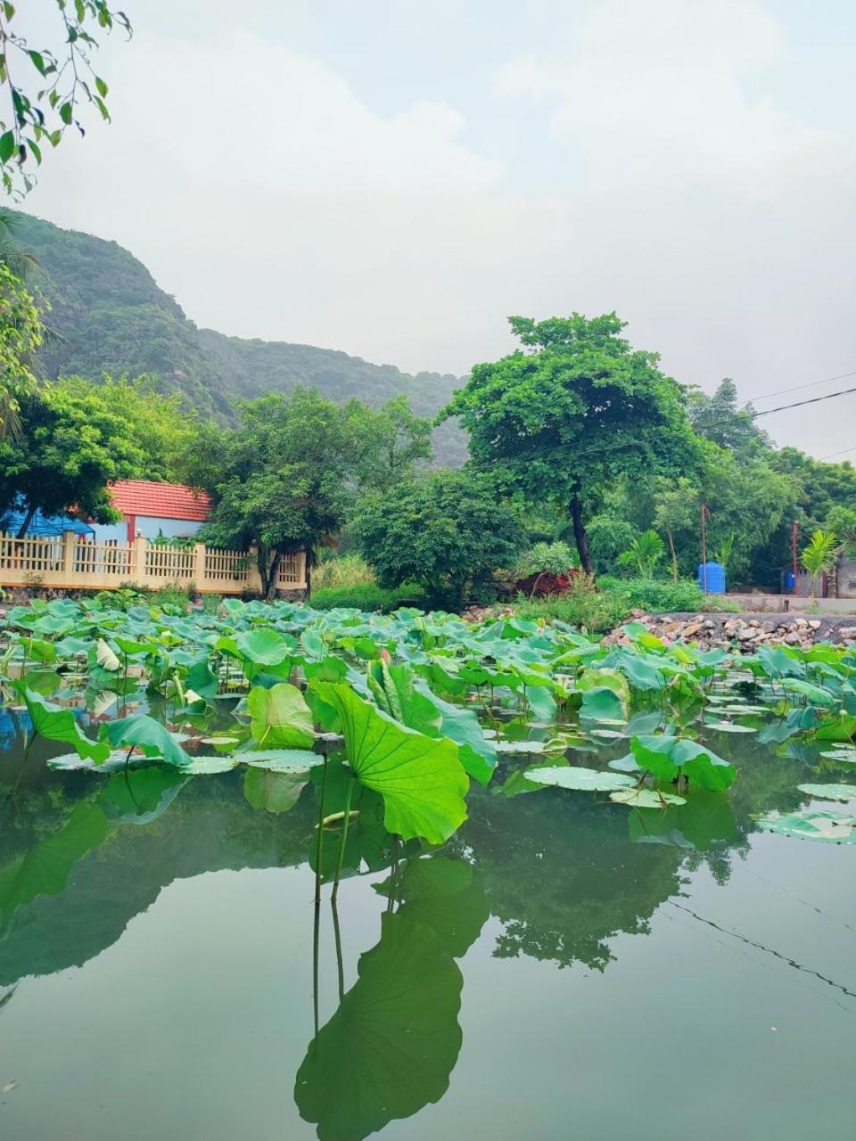 נין בין Trang An Natural Mountainside Homestay מראה חיצוני תמונה