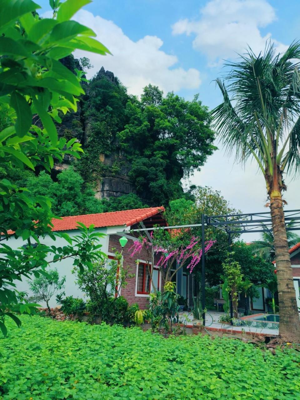 נין בין Trang An Natural Mountainside Homestay מראה חיצוני תמונה
