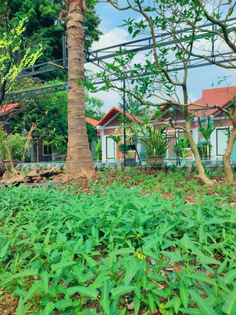נין בין Trang An Natural Mountainside Homestay מראה חיצוני תמונה