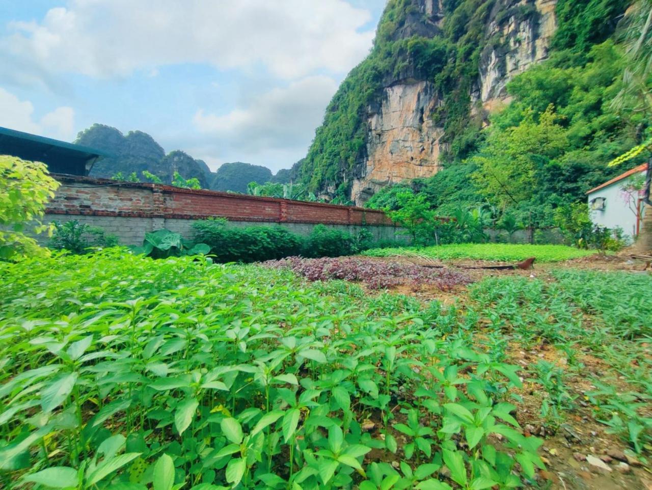 נין בין Trang An Natural Mountainside Homestay מראה חיצוני תמונה