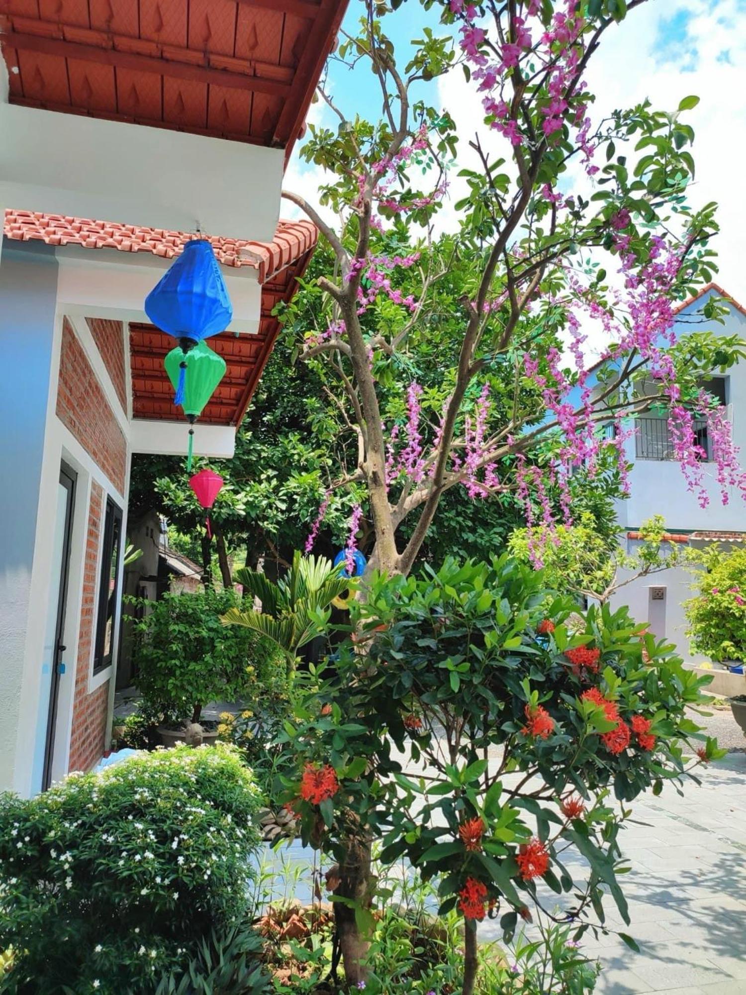נין בין Trang An Natural Mountainside Homestay מראה חיצוני תמונה